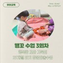 행복한새싹어린이집 | 행꼬 세번째 수업 후기 : 행복한꼬마거북이 아이방문미술, 행꼬가격