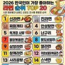 2026 한국인 라면 인기 순위 TOP 20 이미지