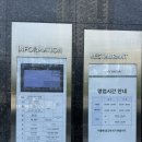판교IC | 현대백화점 판교 영업시간, 주차, 지하 1층 푸드코트 H키친 평일 점심 모모야 카레동 방문 후기