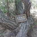 황매산기적길 이미지