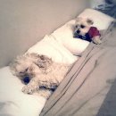 켈리포니아모텔 이미지