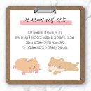 송동물병원 이미지