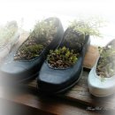 검정고무신 이미지