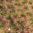 금촌농약사 이미지