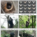 공존(共存) 이미지