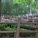 덕절산생태공원 이미지