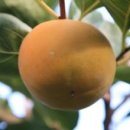 산골마당 이미지