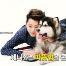 슈퍼독 이미지