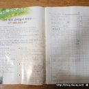 정이든 티스토리