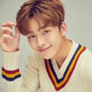 병아리날다 이미지