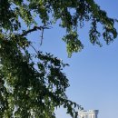 정선공영버스터미널 내 이미지