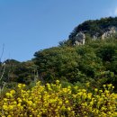 삼회리 강변 자전거길 네이버블로그