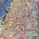 아브라함농장 이미지