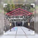 문경 오미자테마터널 | 문경패스로 알뜰하게! 아이와 다녀온 문경오미자테마터널 특별한 체험 후기