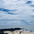 표선 휴 이미지