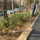 미산-4 | [등산 기록] 미산 등산 장학생 과제 제출합니다