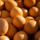 부동산 입문 기본 용어 정리 이미지