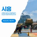 기타입문초급 | 시흥 가볼만한곳 거북섬 웨이브파크 미오코스타 준비물 서핑강습 후기