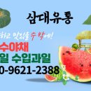 카페 클로버 이미지