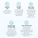 청학로132번길5 네이버블로그
