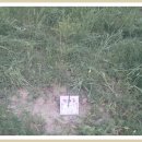 큰산어린이집 이미지