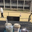 비자비 - 단양군 상진13길 16 | 아이와 함께 다녀온 비자비(vis a vis) 카페 후기, 힐링 나들이 코스로 딱