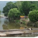 쉴만한 물가 민박 이미지