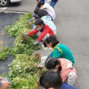 반곡초등학교 이미지