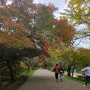 희어재 | [전북 고창] 정읍역에서 선운사 가는 법, 선운사 단풍