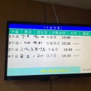 거붕 백병원 | 거제 거붕 백병원에서 귀 켈로이드 수술 후기, 비용
