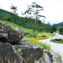 고인돌 역사공원 이미지