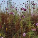 용평실내골프연습장 이미지