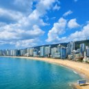 한국환경방역공사 | 광안리오션뷰호텔 오션 더 포인트 호텔 솔직 후기 (애견동반도가능) 사진찍기 좋은 1005호