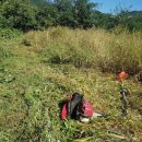 재호농장2 이미지