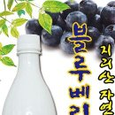 산수유통 네이버블로그