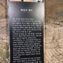 광양 와인동굴 다녀온 후기