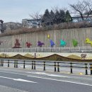충효로 노컷뉴스