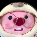 루피안경