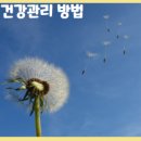 숙이네추어탕 이미지