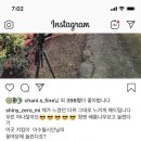 김밥과 스파게티 이미지