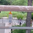 원두막 흑염소 | 따릉이 중랑천을 달리다