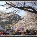 덕치초등학교 이미지