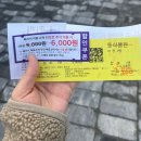 코끼리 | 과천 서울대공원 단풍 오픈런 후기 | 코끼리열차·동물원 리프트 패키지 관람 방법