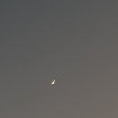 쿠켄치킨(자양점) 네이버블로그