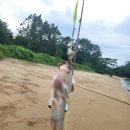 쏠플레오 | 충남 태안 쏠플레오 펜션 해루질 및 낚시가 가능한 프라이빗 해변 오션뷰 펜션