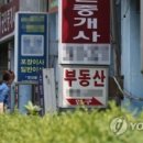 최윤정부동산