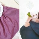 펀치펫 이미지