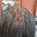 조이헤어 이미지