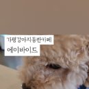에이바이드 이미지