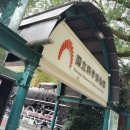 [Tour] #118.#119.마이리얼트립 어린이 도슨트 후기-#47. #48.일본국립과학박물관/ 쌓여가는 피로와 고단함 이미지